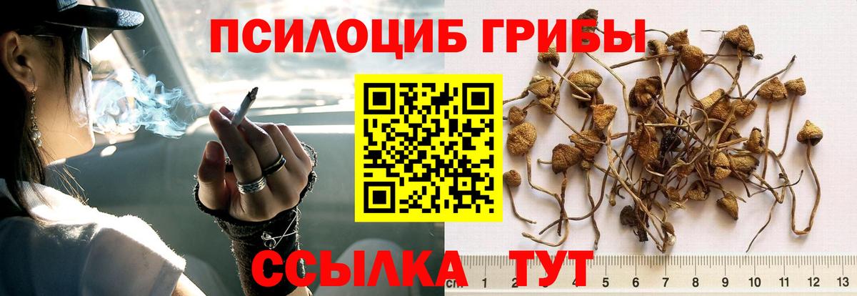 Псилоцибиновые грибы мицелий  Вход с VPN  Валуйки 